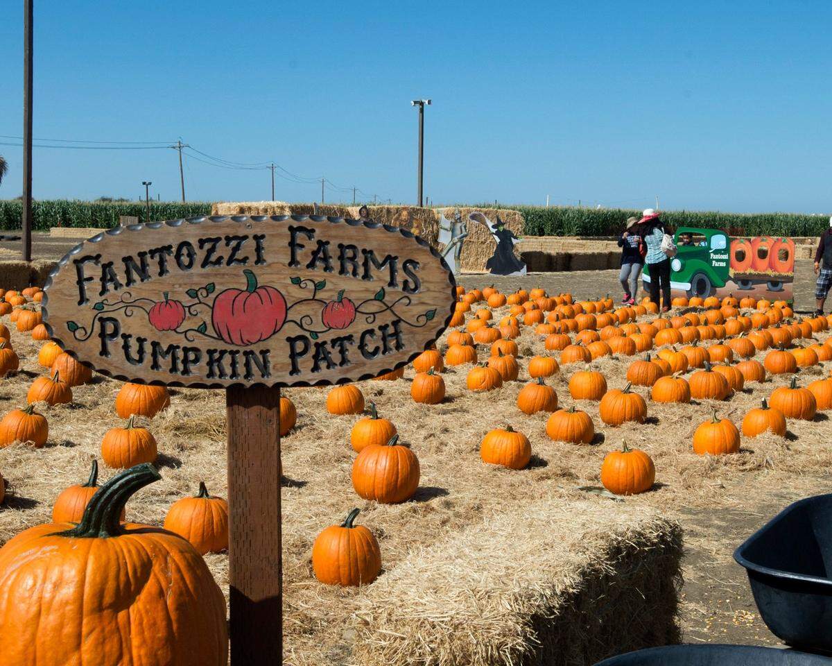Fantozzi Farms, pictured here in 2015, is among those offering fall fun in the Modesto region.