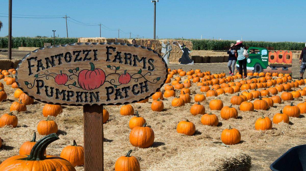 Fantozzi Farms, pictured here in 2015, is among those offering fall fun in the Modesto region.