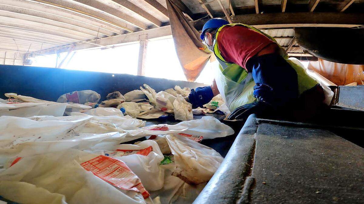 A worker handles used plastic milk jugs that will be recycled into new products. The California Milk Advisory Board announced a new consumer campaign on Oct. 7, 2021.