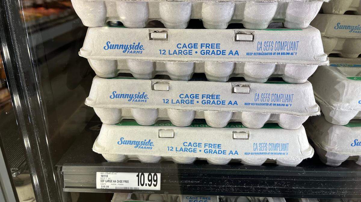 Taxes on groceries would be permanently banned under a constitutional amendment introduced by Rep. Adrielle Camuel.