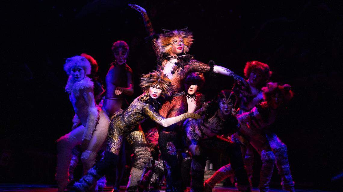 “Cats” opens the Gallo Center’s new season.
