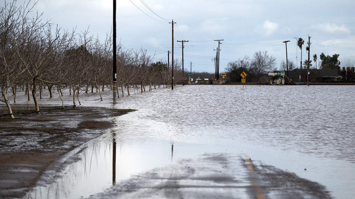 Anderson Road went under water from Orestimba Creek near Newman on Jan. 10, 2023.