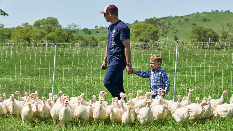 Sonora-area turkey producer enters another niche. It’s about healthy soil to grow feed