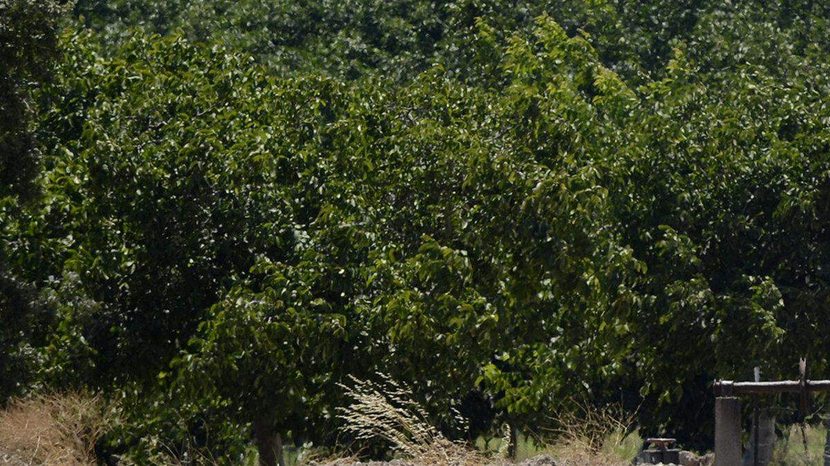 JBL Groundwater Wells 1