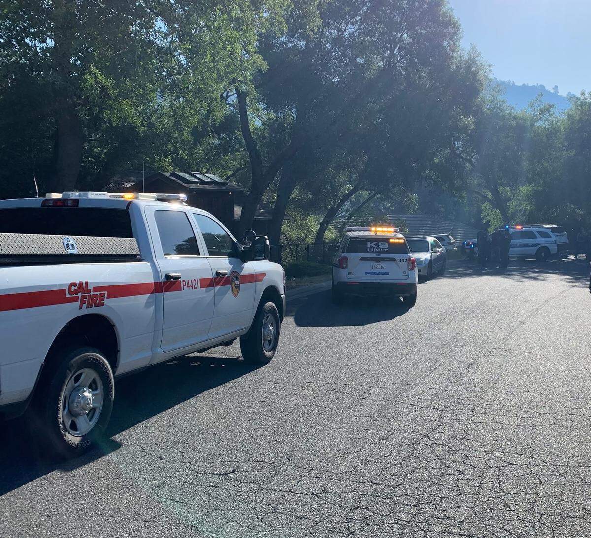 Law enforcement vehicles, including a K-9 unit and Cal Fire personnel, line a Sonora street during a multi-agency operation tied to a child pornography investigation.