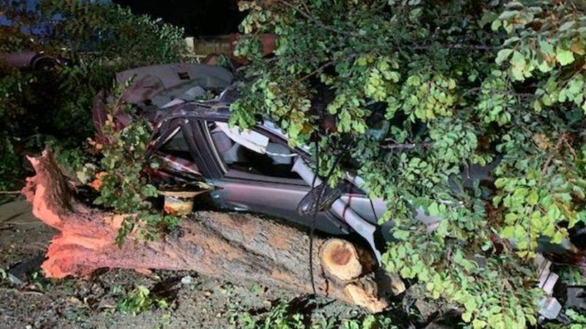 An intoxicated driver escaped major injury when he crashed into a tree on West Orangeburg Avenue early Monday, July 13, 2020, Modesto police report.