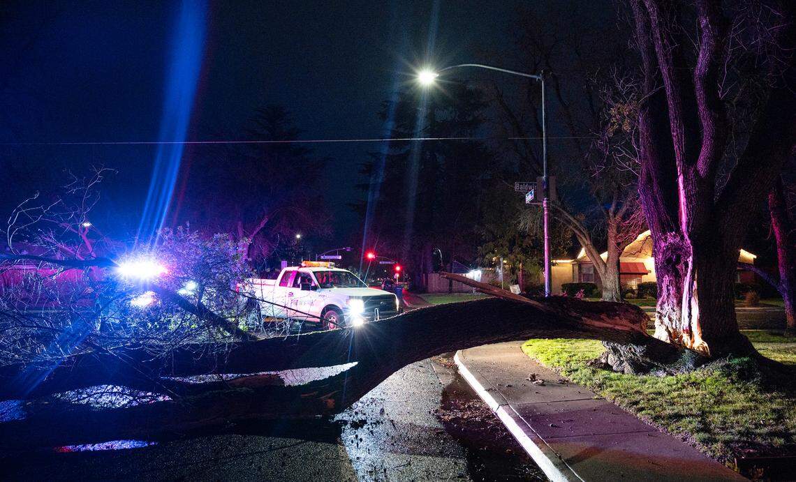 A tree on Enslen Avenue was damaged by high winds in Modesto, Calif., Wednesday, Jan. 4, 2023.