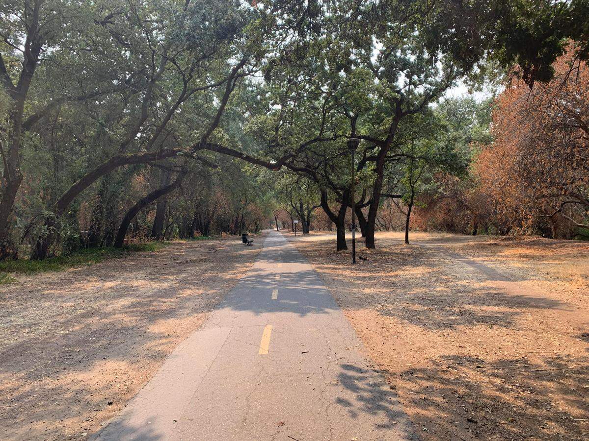 A Dry Creek project will repave the bike path, install new signage, paint striping and improve lighting between La Loma Avenue and El Vista Avenue.