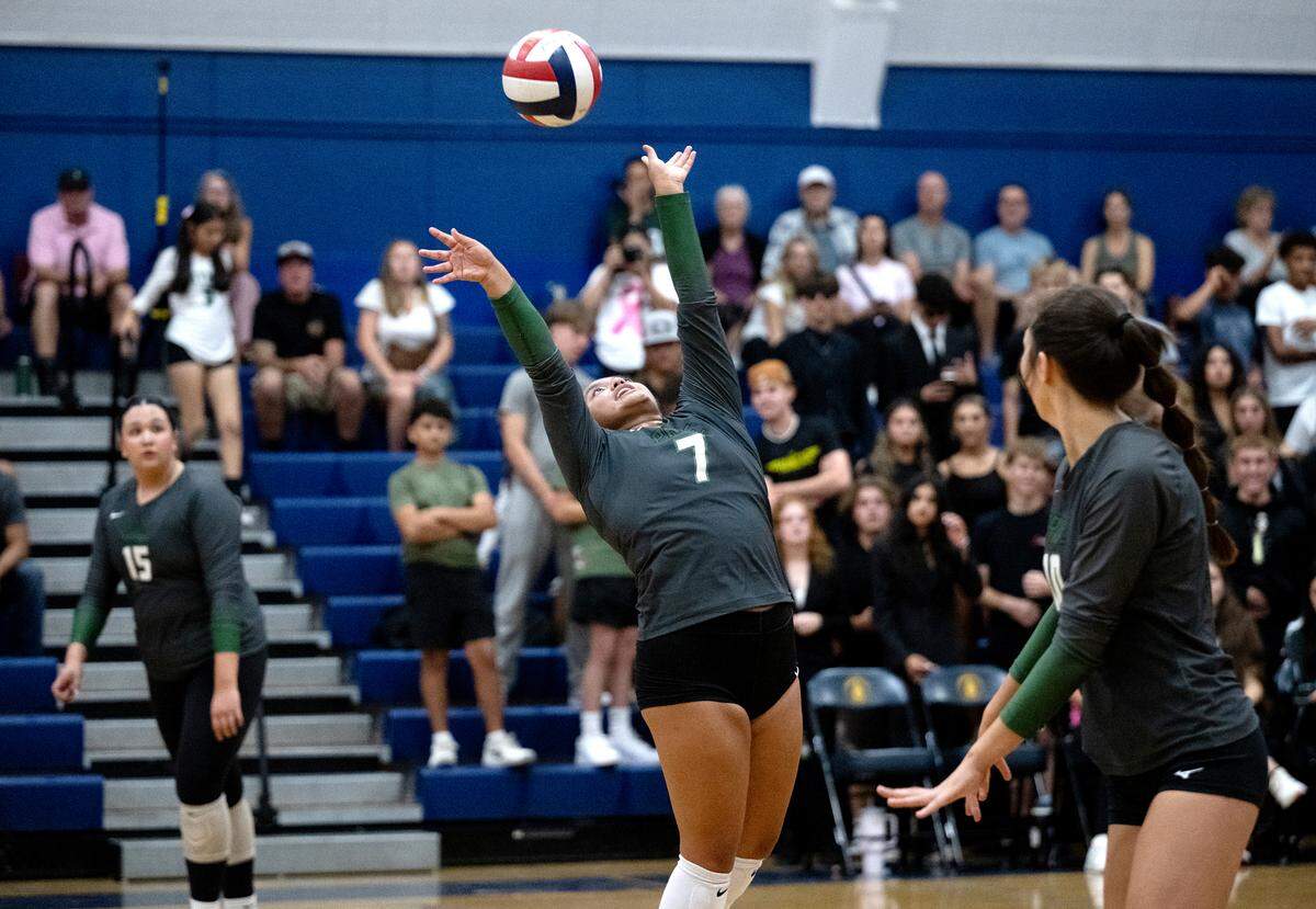 Pitman’s Danica Zamora (7) sets the ball for teammate Mia Ngo (15) during the Central California Athletic League match with Turlock at Turlock High School in Turlock, Calif., Tuesday Oct. 8, 2024.
