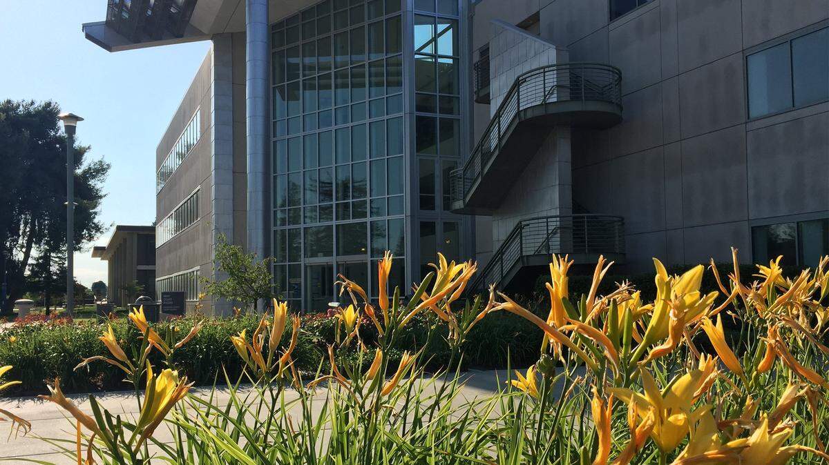 California State University, Stanislaus, in Turlock closed Wednesday due to health concerns from air quality.
