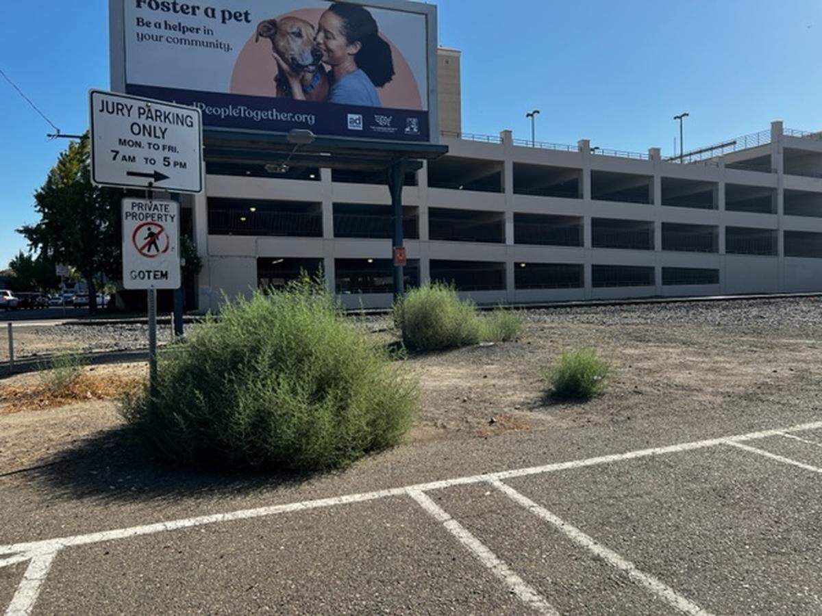 Free street parking is available for jurors of the courthouse in Modesto along 8th Street between K and L streets. The lines in the pavement mark where jurors can park their cars between 7 a.m. and 5 p.m.