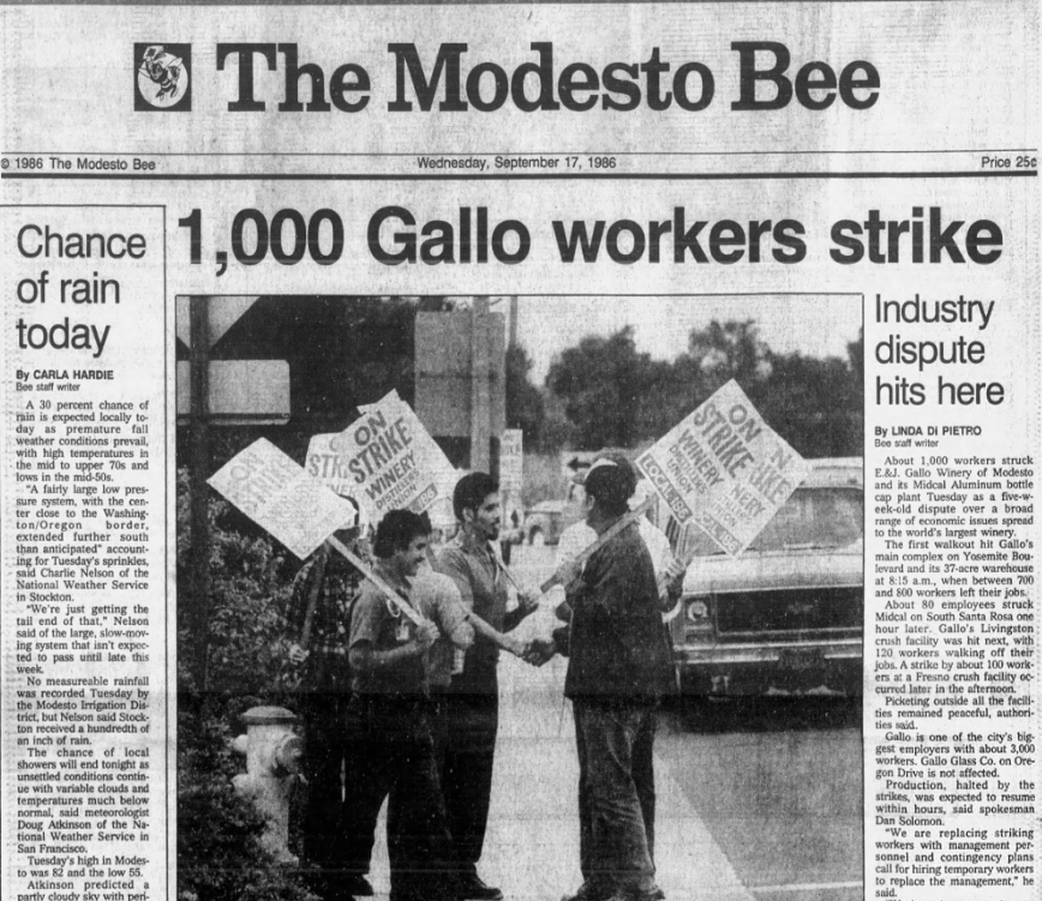 People carrying signs that say 'on strike' picke outside of Gallo Winery in 1986