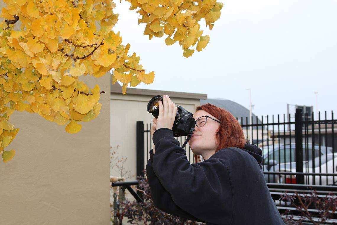 Turlock High School yearbook General Manager Macie Coelho-Johnson at work this school year