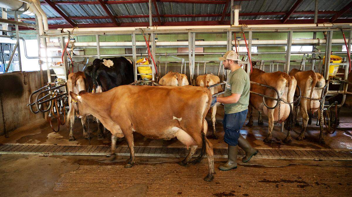 The first version of this year’s Farm Act proposed cracking down on raw milk by eliminating legal loopholes that let people buy it in North Carolina.