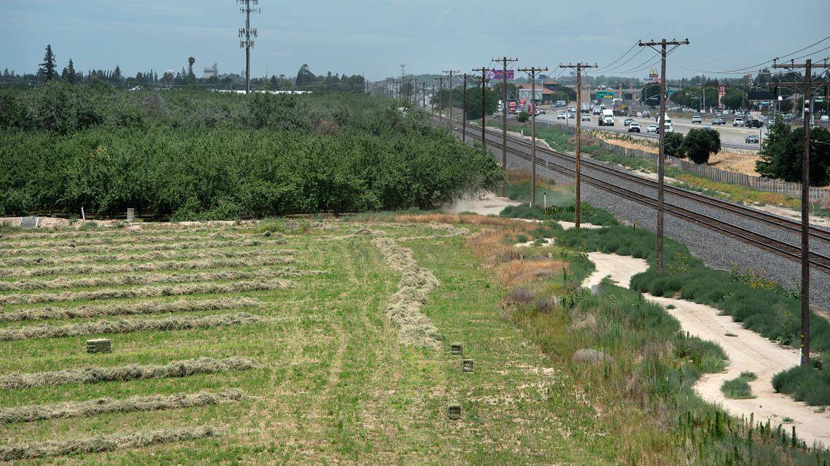 A freshly cut alfalfa field adjacent to Highway 99 in Wood Colony, Calif., on Friday, June 12, 2020.