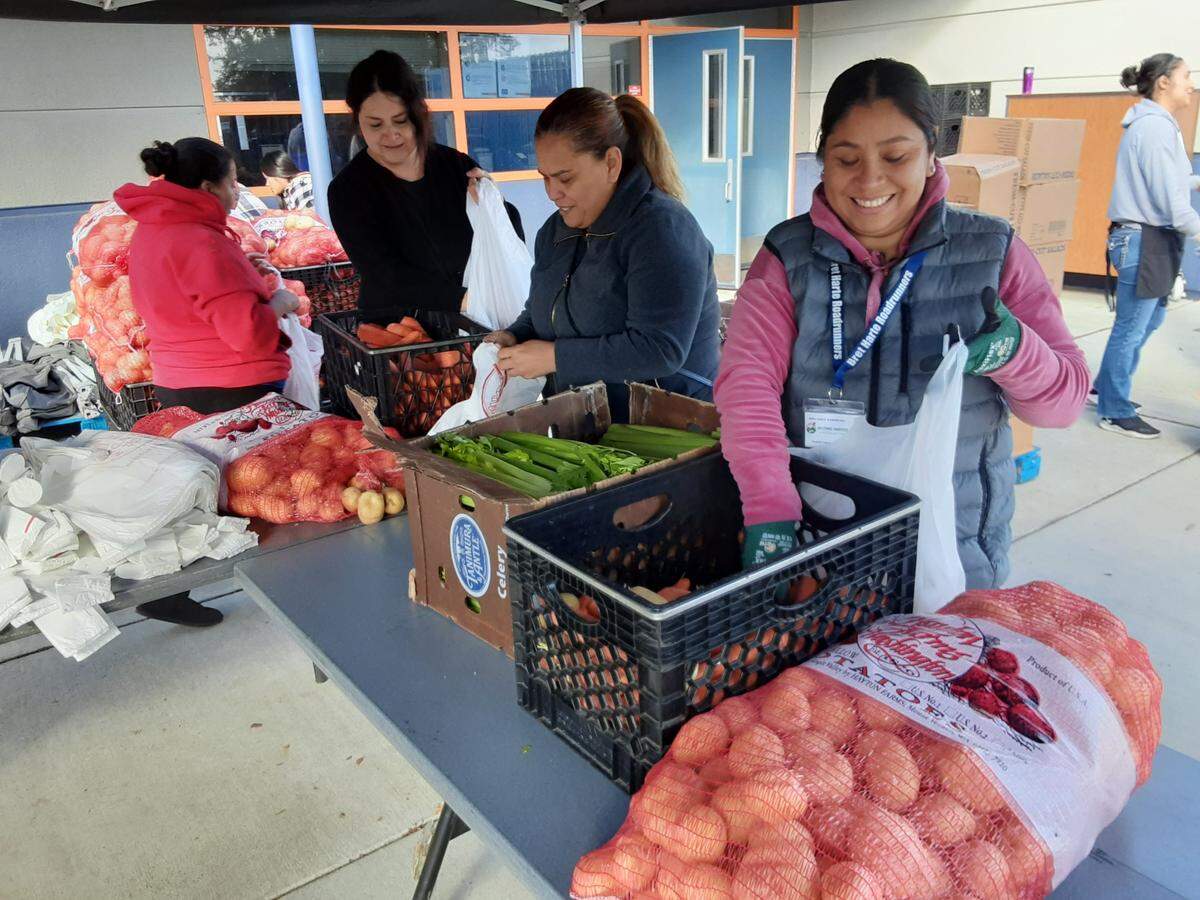 Parent volunteers fill bags with potatoes, carrots and celery at Bret Harte Elementary School in south Modesto on Thursday, Nov. 10, 2022, for the Second Harvest food bank’s Fresh Food 4 Kids program.
