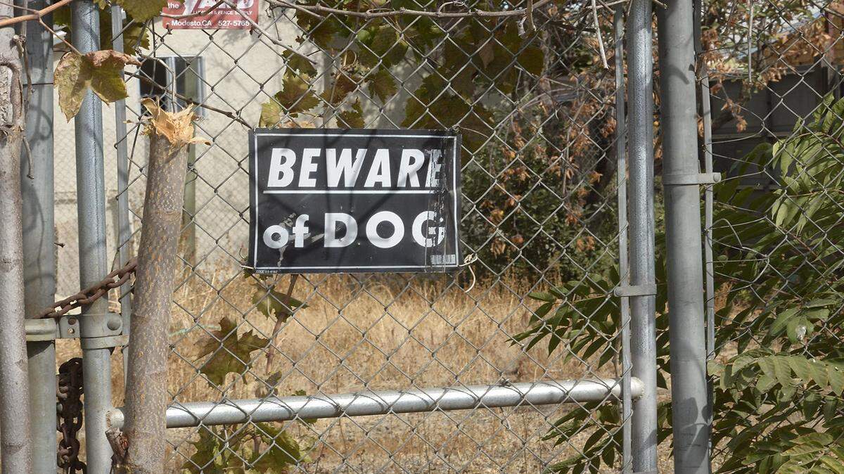 DN dog mauling folo