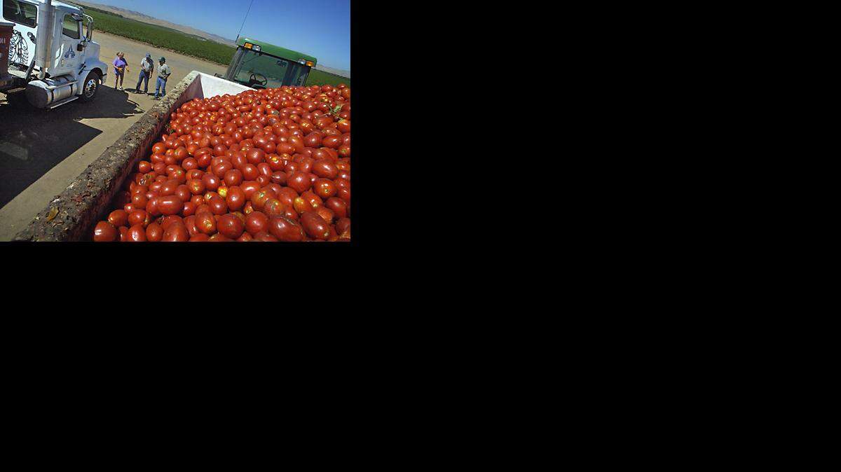 tomato
