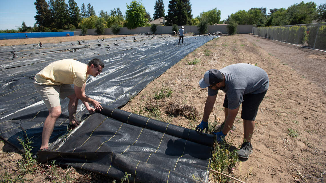 Modesto Children’s Garden is forced to move from Pelandale site. What’s the new location?
