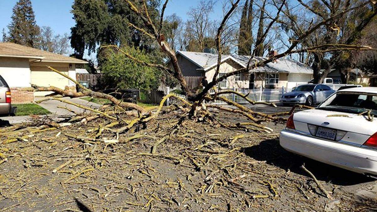 A tree fell at a home on Rose Ave. and Brewer Way, hitting a vehicle, during a high-wind event over the weekend, on Monday, February 10, 2020, in Modesto, California.