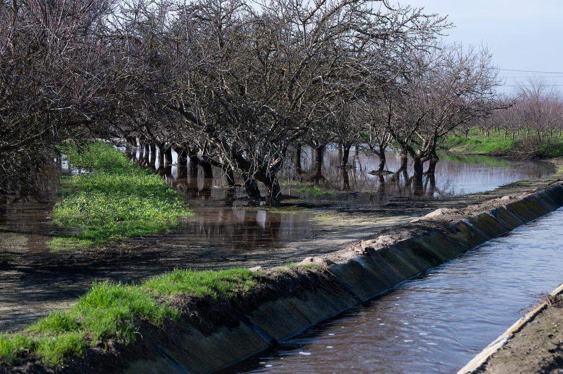 Storm water is diverted from a Turlock Irrigation District canal to flood an almond orchard at the Gemperle family farm near Keyes, Calif., Wednesday, Jan. 18, 2023.