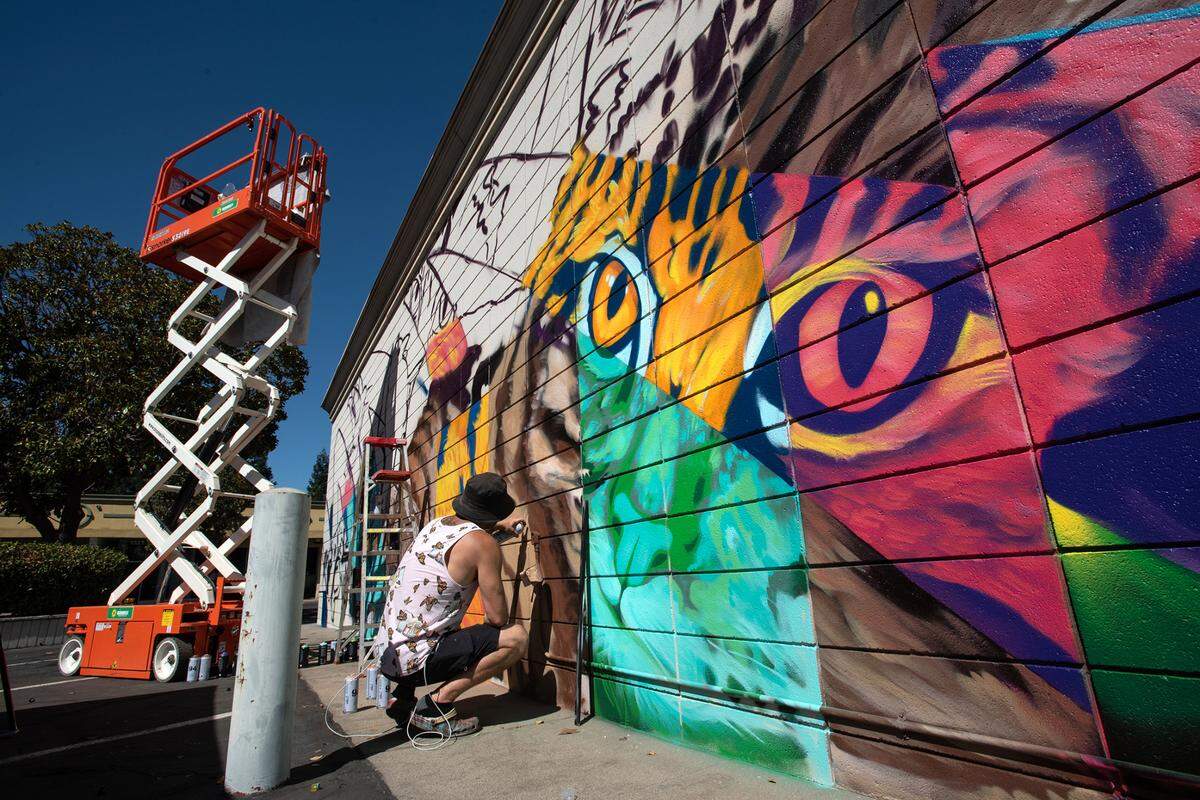 Muralist CAMER1sf works on a mural as part of the DoMo Walls Mural Festival at the Mayol & Barringer Law Offices, 1324 J St. in Modesto, Calif., on Wednesday, September 28, 2022. The festival concludes Oct. 7 during the season finale of DoMo First Fridays street fair.