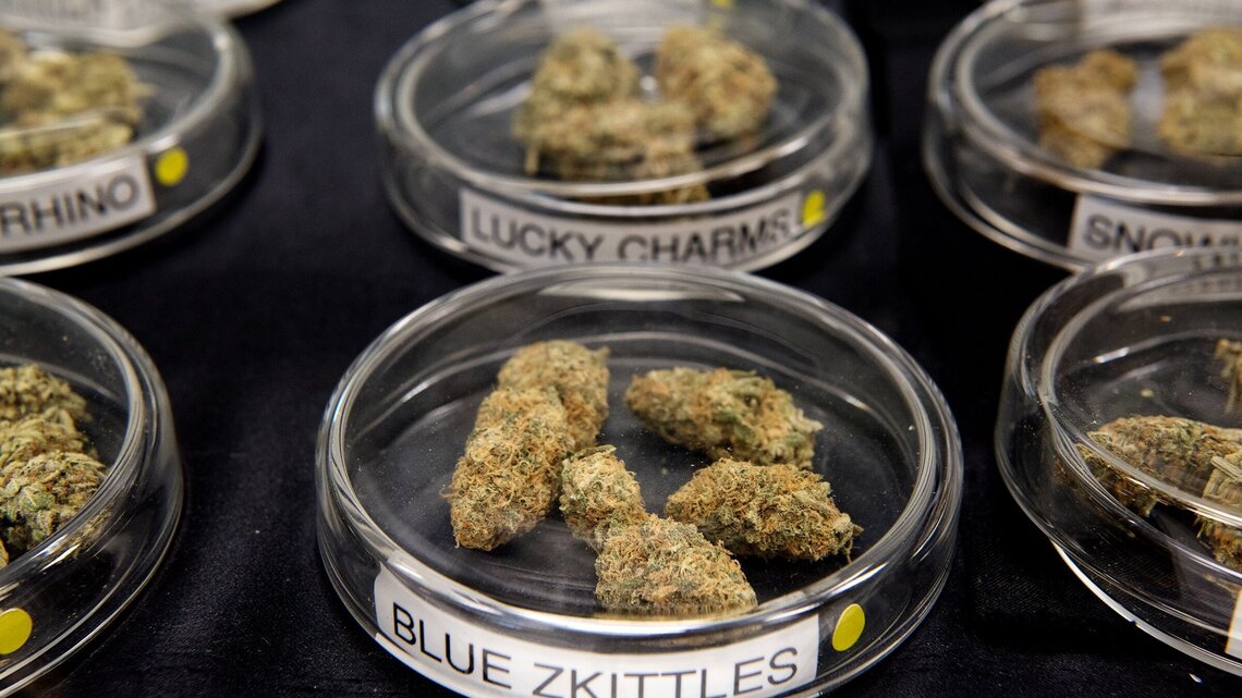 Early unofficial results show Measure P, tax on cannabis, passing
