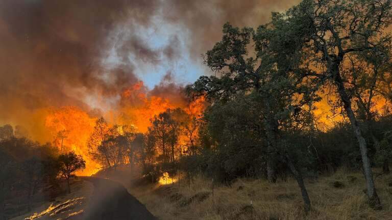 Stanislaus youth group collecting funds, supplies to aid Gann Fire victims