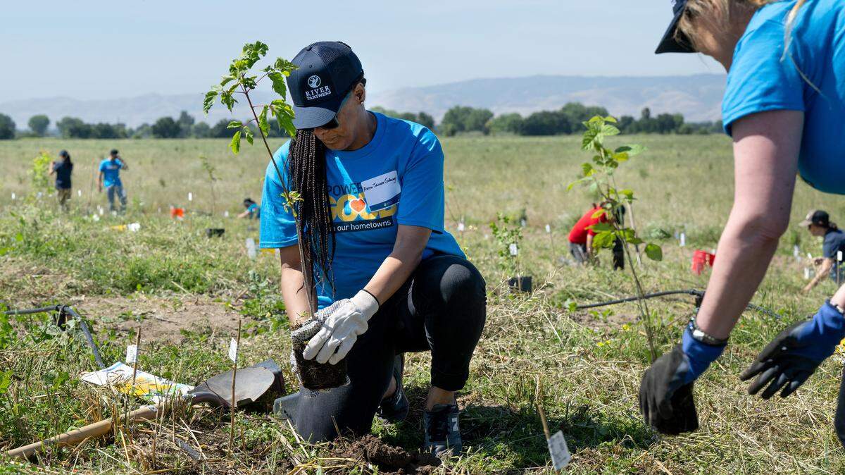 Pacific Gas & Electric Co. employees Aleena Jeannee Galloway, left, and Denise Fink, help with the last planting of the bunny mound at the River Partners habitat restoration planting at the San Joaquin River National Wildlife Refuge Friday, May 1, 2026. The mound will be a refuge of high ground for the riparian brush rabbit during flood events.