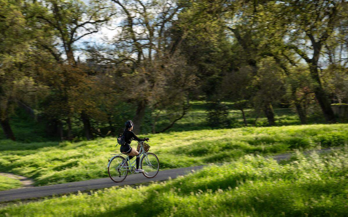 A bicyclist rides on the Dry Creek Trail in Modesto, Monday, March, 17, 2025.