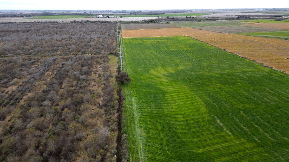 El proyecto de restauración de la llanura aluvial de Hidden Valley se encuentra junto a una sección restaurada de Dos Ríos, a la izquierda, al oeste de Modesto, California. Imagen del jueves 29 de febrero de 2024.