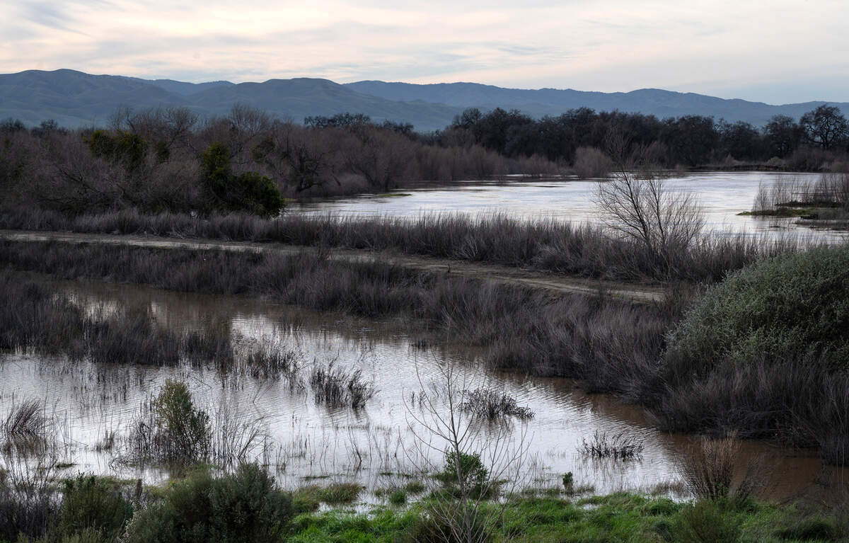 xGov. Gavin Newsom proposed another $5.8 million on Jan. 10, 2023, for the proposed Dos Rios Ranch State Park in Stanislaus County. The San Joaquin River at Dos Rios Ranch near Modesto, Calif., Thursday Jan. 12, 2023.