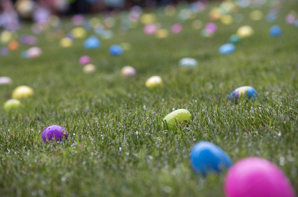 Eggs ready for hunting at the 2019 Modesto Certified Farmers Market.