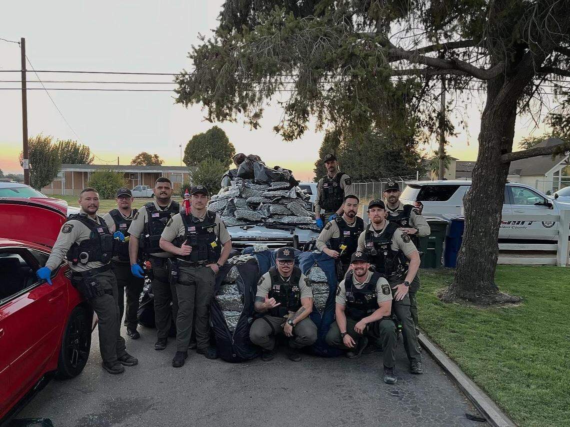 Stanislaus County sheriff’s deputies pose with the seized marijuana after the domestic violence call that led to the discovery of firearms and drugs, Sheriff Jeff Dirkse said.