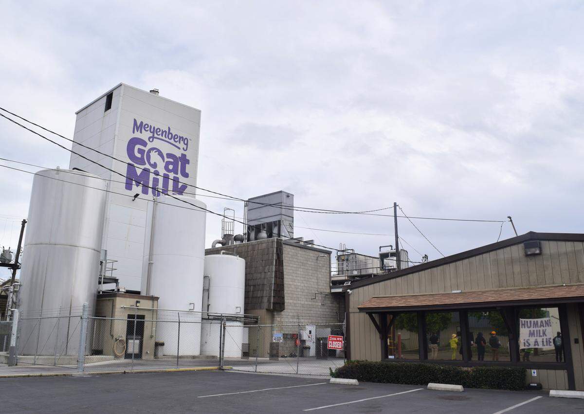 The Meyenberg Goat Milk processing plant in Turlock, pictured on April 11, 2026.