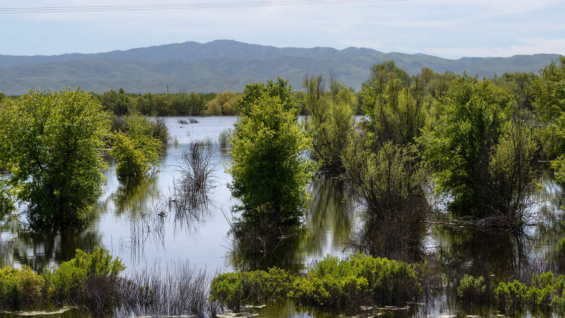 Stanislaus Audobon Society: Outraged by capricious, cruel firing of federal parks employees | Opinion
