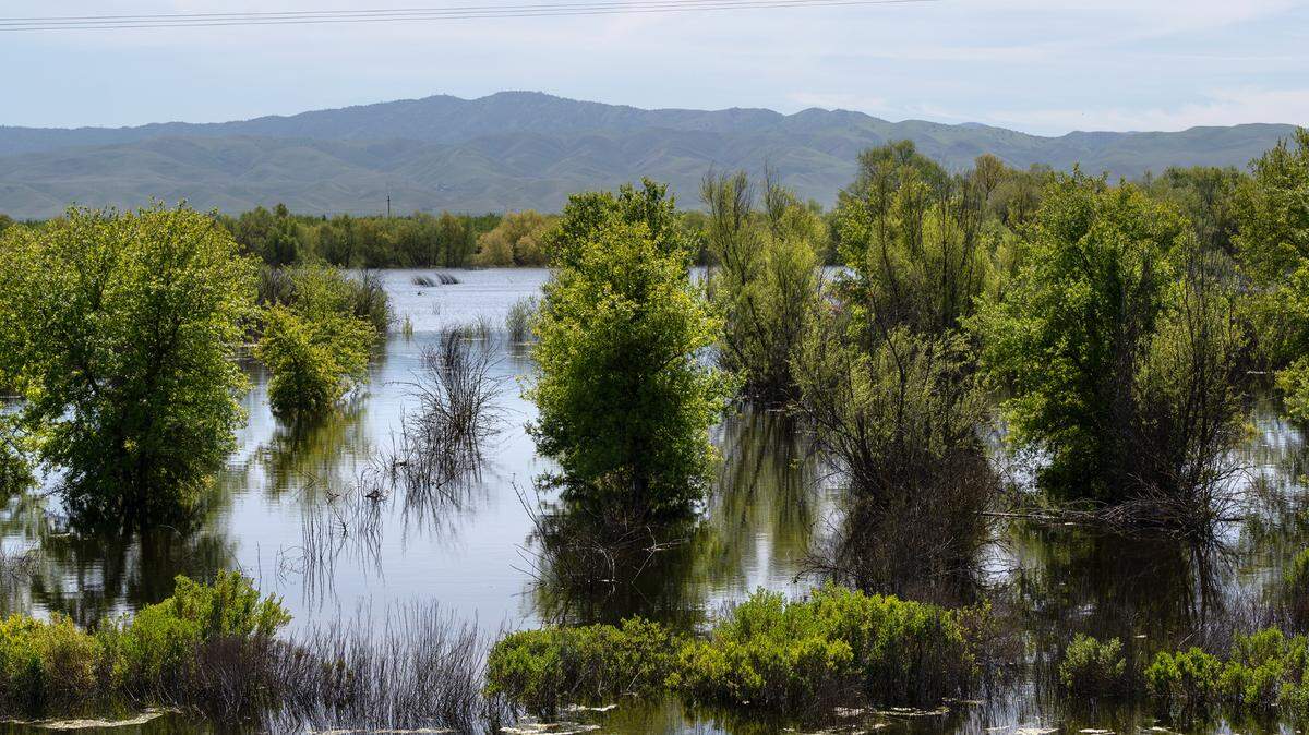 San Joaquin River National Wildlife Refuge is expected to remain flooded for several months. Photographed in Vernalis, Calif., Friday, April 21, 2023.
