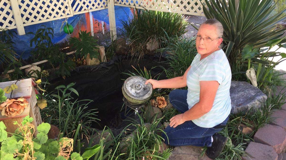 Katherine Martinez of Modesto drained and disassembled her fish pond. She said she found her goldfish dead the day after aerial spraying.
