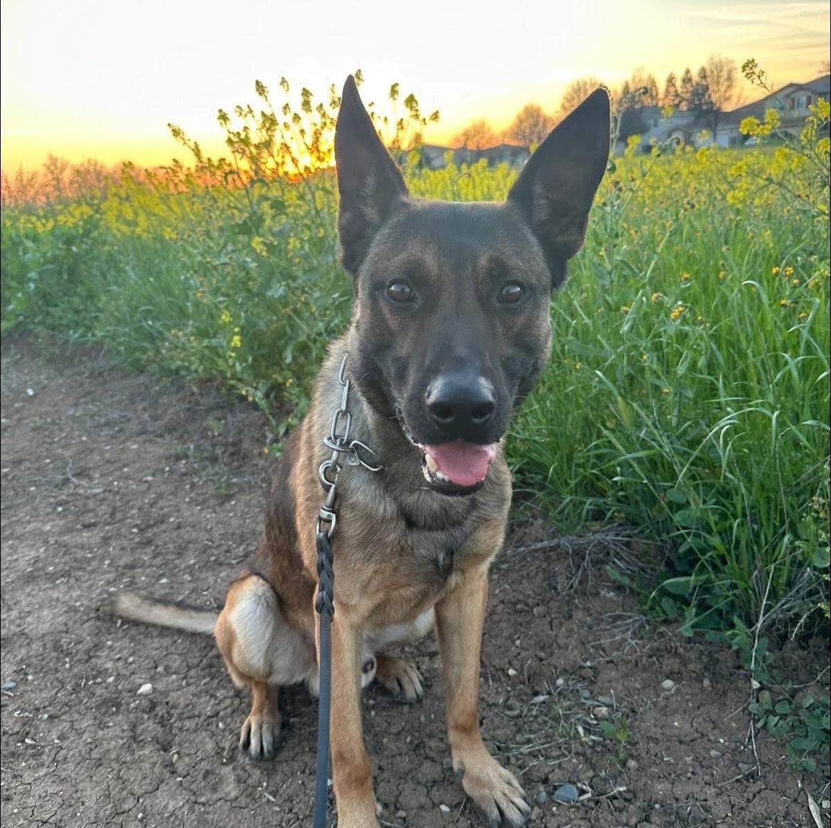 Zero joined the Sheriff’s Office in January and was cross-trained in patrol and narcotics detection.