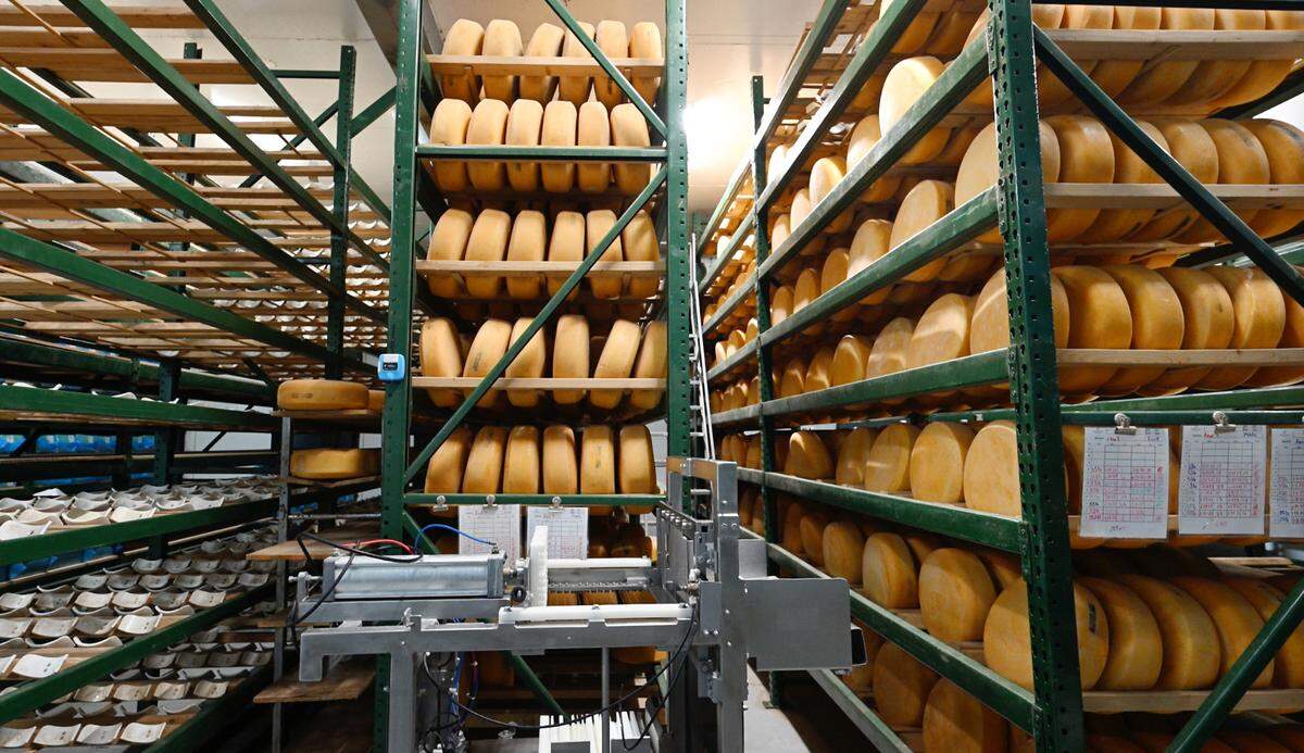 Aging cheese at Fiscalini Farmstead in Modesto, Calif., Wednesday, April 10, 2024.