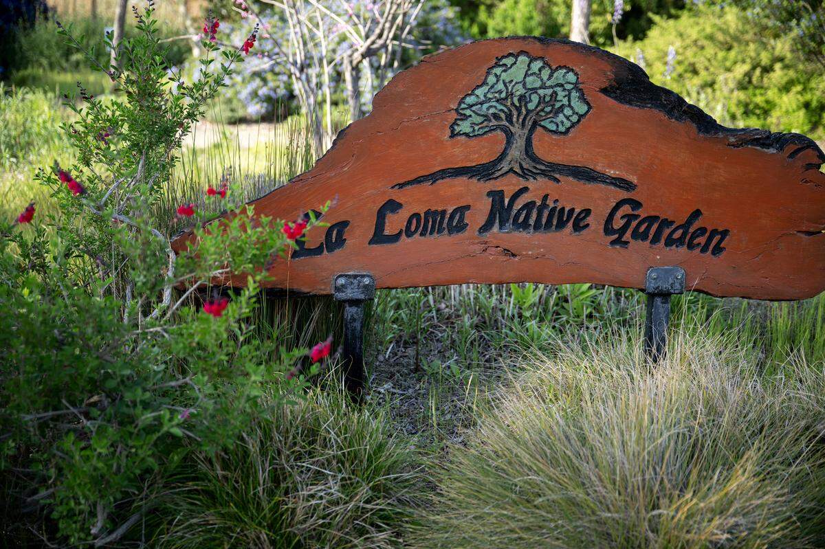 La Loma Native Garden on Encina Avenue in Modesto.