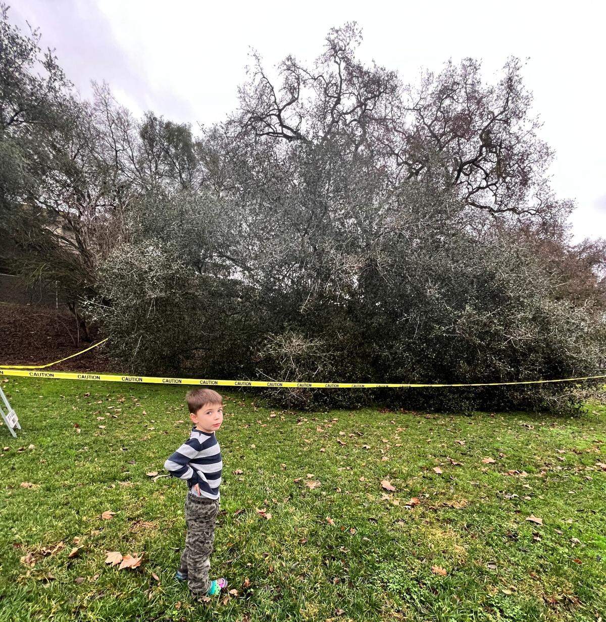 Clayton McQueary submitted this photo of him with a tree that fell in a park on River Road in Oakdale on Monday, Jan. 9, 2023.