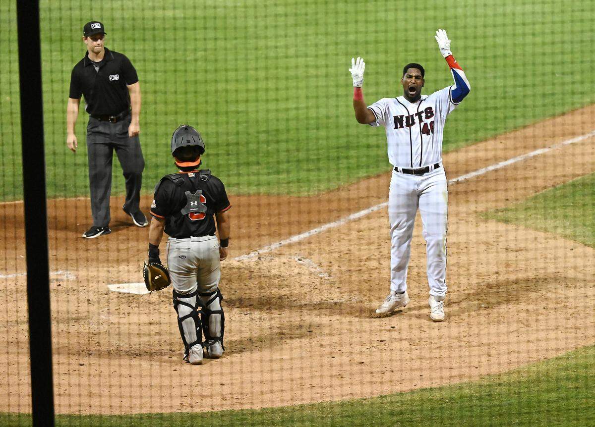 Modesto Nuts’ Lazaro Montes ties the game with a home run in the bottom of the ninth inning during the California League playoff game with San Jose at John Thurman Field in Modesto, Calif., Tuesday, September 12, 2023.