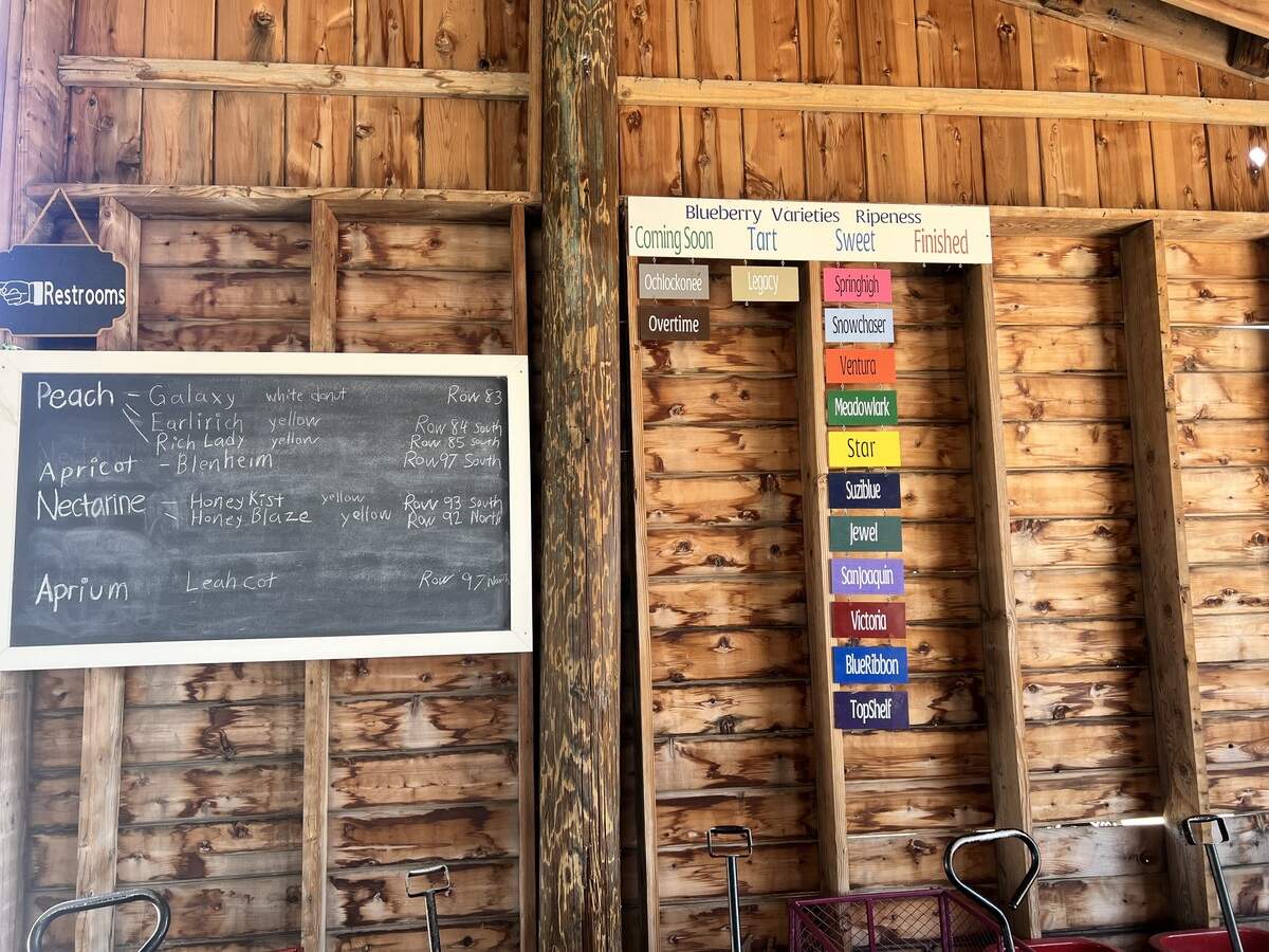 From March to August, VanderHelm Farms offers a variety of seasonal fruits and produce for visitors to pick themselves.