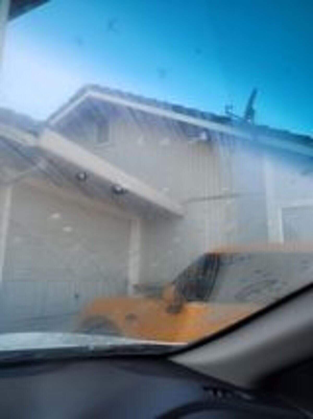 A Modesto Bee reader says snow fell on her windshield Friday, Feb. 3, 2023.