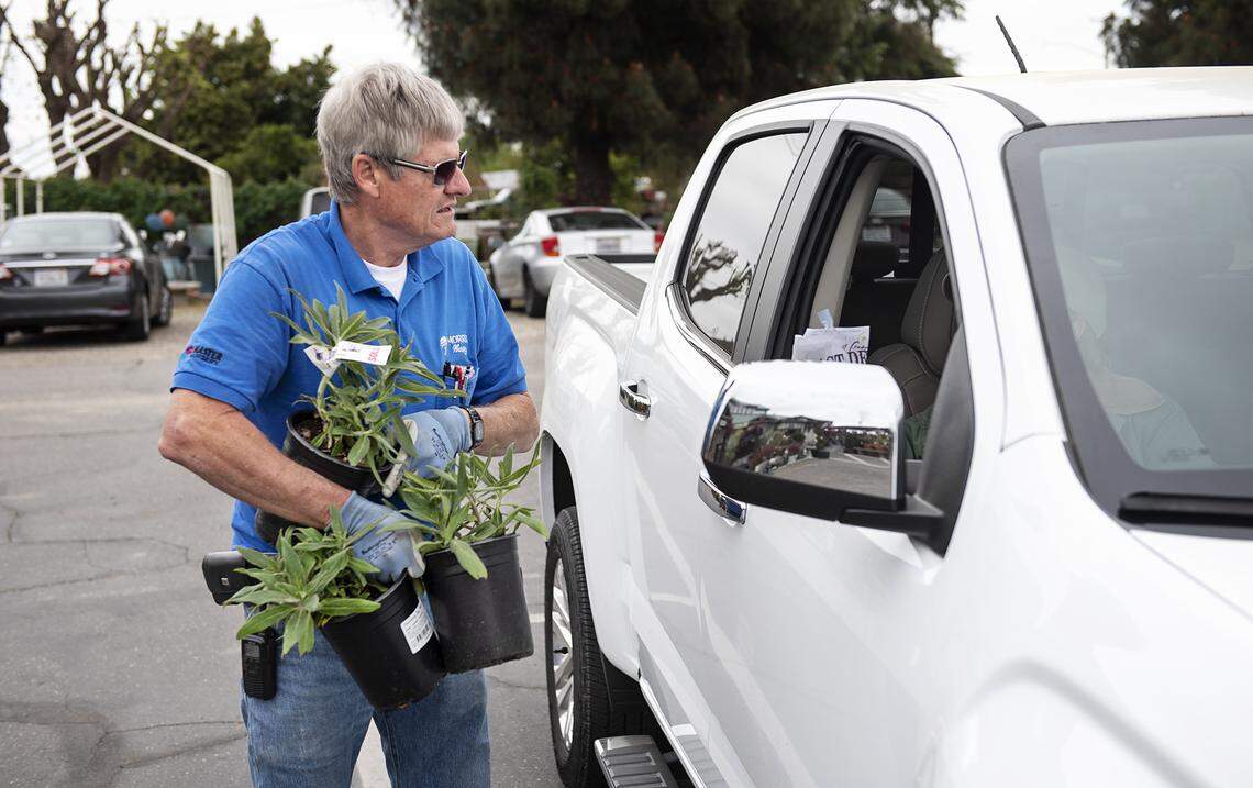 Ron Hoffman helps a customer with a pickup order at Morris Nursery in Riverbank, Calif., on Saturday, April 4, 2020. Grocery stores and large retailers arenÕt the only companies still open in Modesto and the Central Valley of California due to the global COVID-19 crisis. Other small stores, shops and services are struggling.