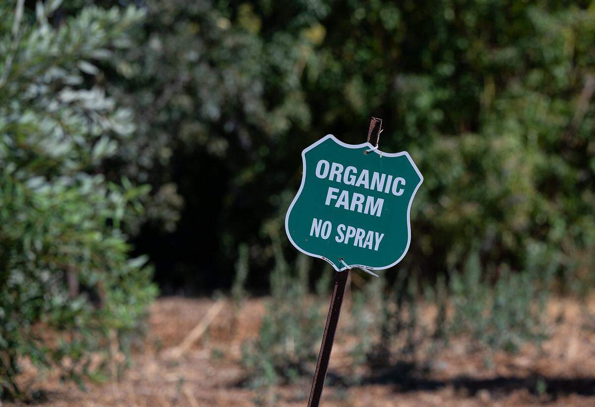 Zinc House Farm is fully organic growing operation in Escalon, Calif., on Tuesday, June, 21, 2022.