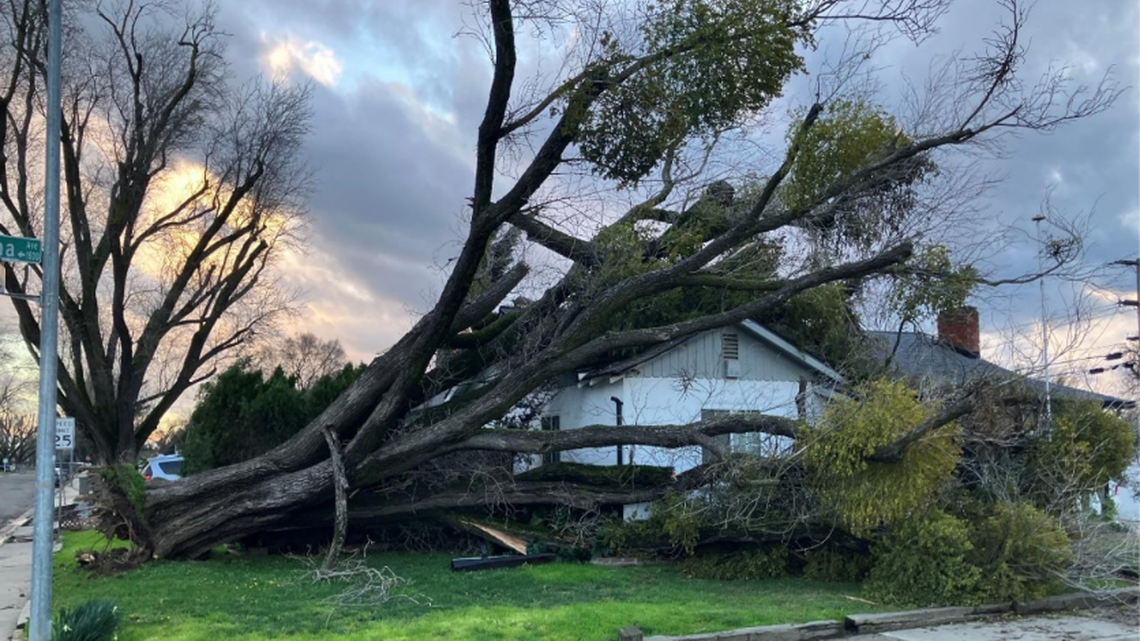 Wind gusts blew up to 55 mph in Modesto, causing fallen trees and branches.