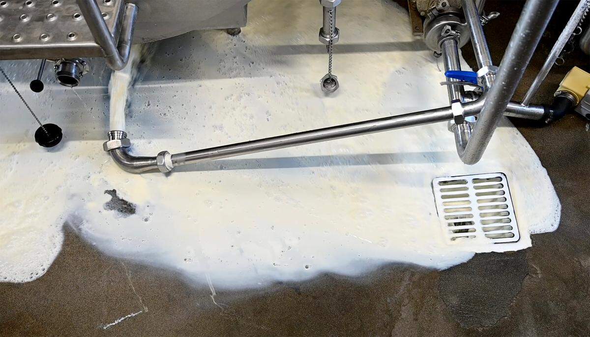 Raw milk is being discarded at Valley Milk Simply Bottled farm on Maze Boulevard in Modesto, Calif., on Thursday, Sept. 23, 2021. A recall has stopped the distribution of the dairy’s raw milk, but the cows still need to be milked twice daily.