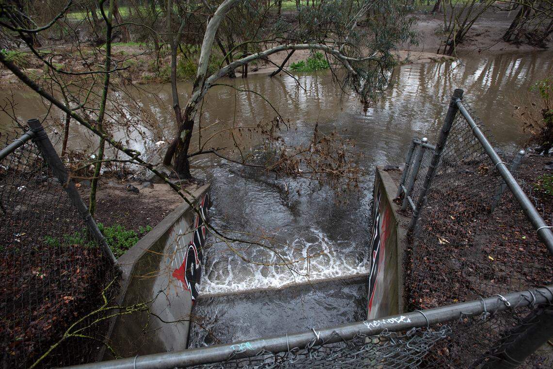 Storm water flows into Dry Creek at Moose Park in Modesto, Calif., Friday, March 10, 2023.